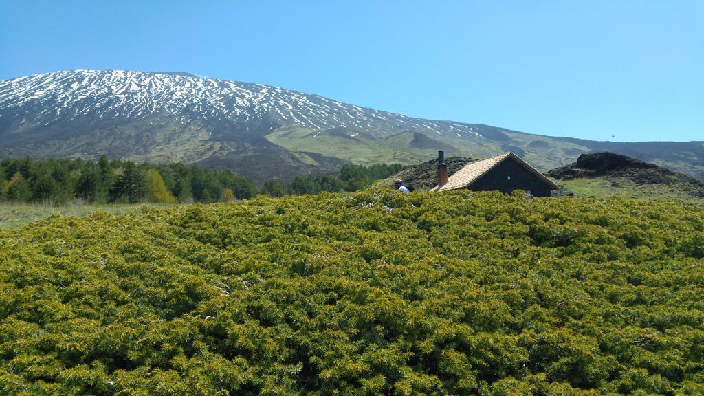 Etna Bike Holiday Zafferana Etnea Buitenkant foto